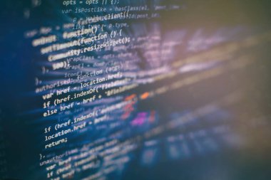 Analiz, geliştirme, algoritma ve doğrulama gibi bilgisayar programlarının çalıştırılması sorunu. Büyük veri depolama ve bulut hesaplama sunumu. Programlama