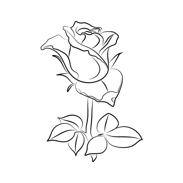 Векторні татуювання троянд з листям на білому тлі . — стоковий вектор