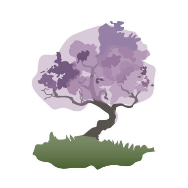 Bonsai ağacının silueti.