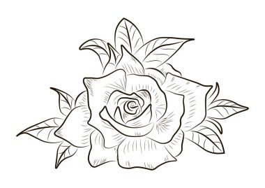 Beyaz arka plan üzerinde izole vektör soyut çiçek