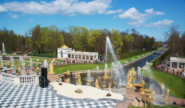 Grand garden kaskady fontanny w pałacu Peterhof, St. Petersburg. Maj 9, 2015. — Zdjęcie stockowe