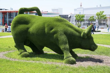 Adler, Rusya - 21 Mayıs 2017 Hotel Sochi Park. Adler, Krasnodar 