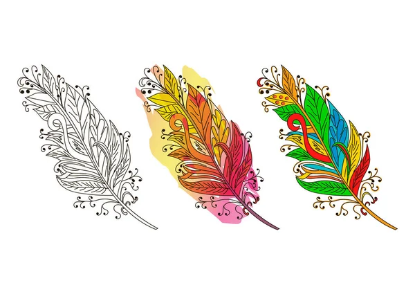 Esbozo de plumas. Pluma colorida. Ilustración vectorial . — Vector de stock