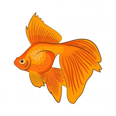 Beyaz arka plan üzerinde izole kırmızı balıktır. Vektör çizim.