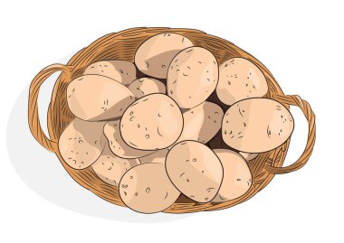 Patates yumrular üzerinde beyaz bir arka plan ile sepet. Vektör çizim.