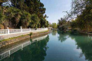 Rusya 'nın Sochi Adler şehri güney kültürleri parkı. Ağaçların yansıması olan gölet.