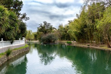 Rusya 'nın Sochi Adler şehri güney kültürleri parkı. Ağaçların yansıması olan gölet