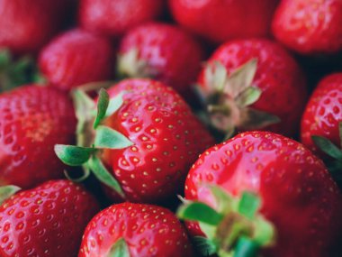 Taze çilek arka plan tonda. Taze, olgun, sulu çilek.