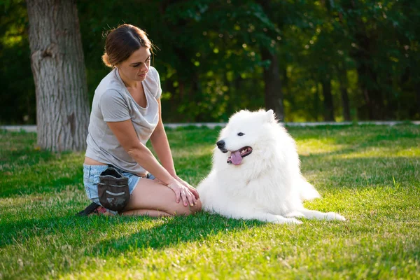 Dospělé ženy s červenými vlasy hraje a hladí její pes plemene samojed. Bílé nadýchané pet v parku s milenkou na zeleném trávníku bavit. — Stock fotografie