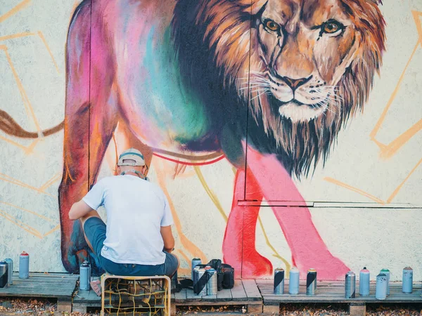 Graffiti Artist Painting On The Street Wall. Man with aerosol spray bottle near the wall. Young talented guy in protective mask drawing colorful lion. — Stock Photo, Image