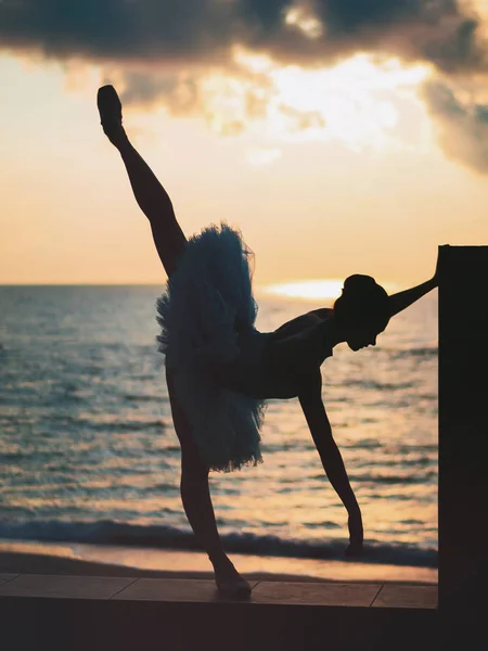 Silhouette of ballerina in ballet tutu and pointe on dramatic sky background. Young beautiful woman practicing stretching and exercises. Girl in static posture.