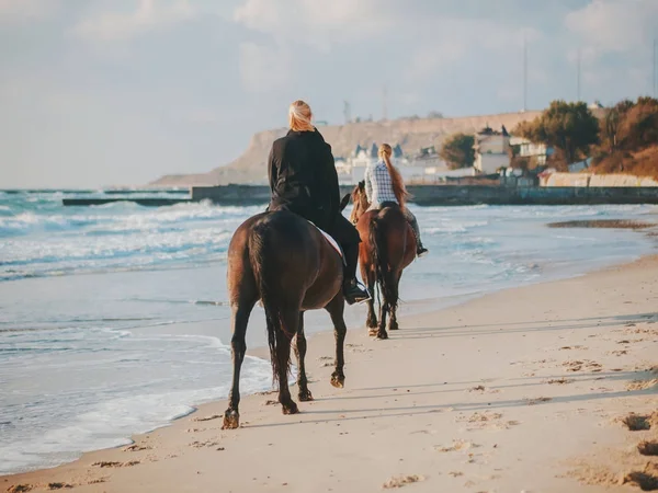 Вид на жінок, які катаються на красивих конях, що блукають по морю, розбризкуючи воду, падає навколо на захід сонця або заходу сонця. Сталліон, що йде в океанічній воді — стокове фото