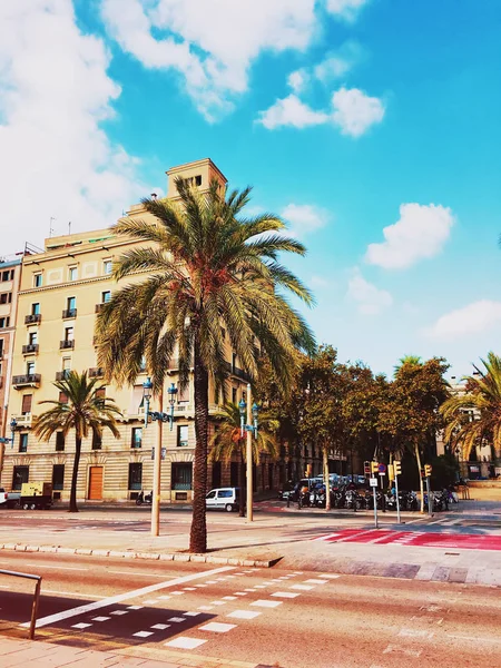 Rua Barcelona vazia com palmas, paisagem da Catalunha, Espanha. Barcelona estrada da cidade. Vazio Barcelona vista da estrada da cidade velha. Arquitetura de viagem perto de grande estrada vazia — Fotografia de Stock