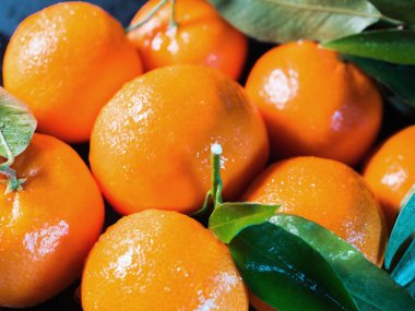 Taze sulu mandalina masaya aldım. Noel ve yeni yıl sembolü