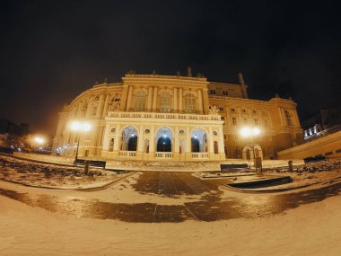 Lamba ve ağacı kışın tarihi Odessa opera ve Balesi evi. Gece kar.