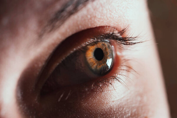 A beautiful insightful look green womans eye. Close up, macro shot