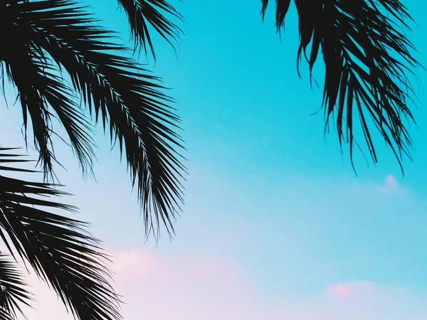 푸른 하늘, 야자수 열 대 해안, 빈티지 톤 및 양식에 일치 시키는, 코코넛 나무, 여름, 레트로에서 실루엣을 손바닥 — 스톡 사진