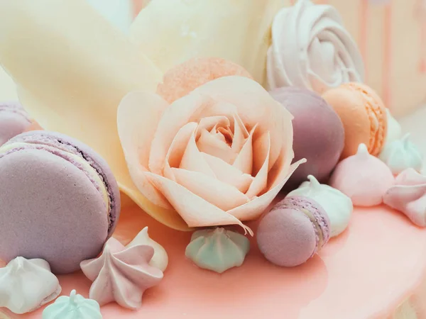 Modern Fransız mousse kek macarons, gül ve merengues ile dekore edilmiş pembe ayna sır ile. Bir menü veya bir şekerleme katalog için resim. — Stok fotoğraf