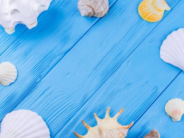 Çeşitli deniz kabukları çerçeve mavi vintage eski püskü ahşap masa üzerinde. Yaz aylarında deniz tatil ve arka plan denizyıldızı rapana