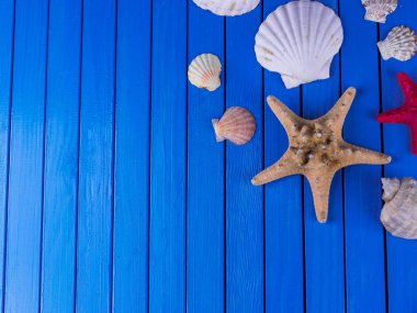 Çeşitli deniz kabukları çerçeve mavi vintage eski püskü ahşap masa üzerinde. Deniz yıldızı ile yaz aylarında deniz tatil arka plan