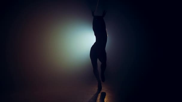 weibliche Silhouette im hellen Scheinwerfer.professionelle Tänzerin bewegt sich auf der Bühne zu music.plastic girl mit sportlicher und verführerischer Figur.