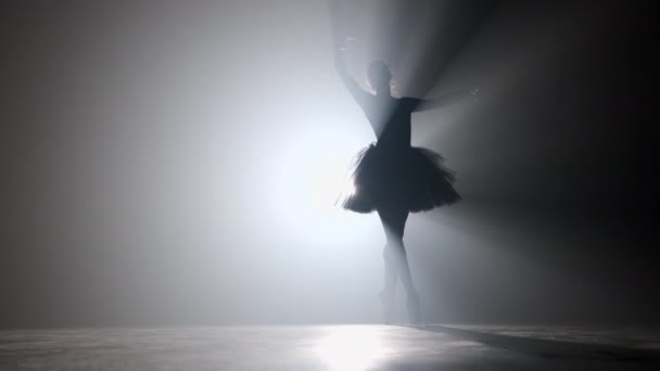 Actuación en solitario de la bailarina en el vestido de tutú contra el telón de fondo del foco luminoso de neón en el teatro. Silueta de mujer en zapatos puntiagudos bailando movimientos clásicos. 4k . — Vídeos de Stock