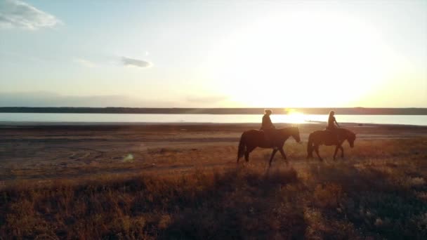 Drone vue aérienne de la femme chevauchant des chevaux sur la côte ouverte.Entraînement d'étalon. — Video