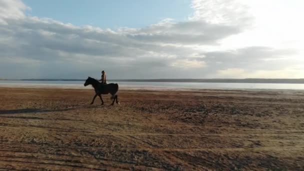 Frau reitet Pferd auf wunderschöner herbstlicher Naturlandschaft an Fluss oder See. — Stockvideo