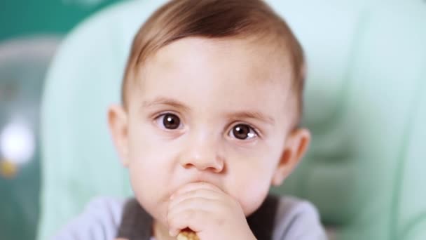 Cute baby boy sitting in his chair and eating delicious cookie. Birthday handsome toddler child with big eyes portrait. Slow motion. — Stockvideo
