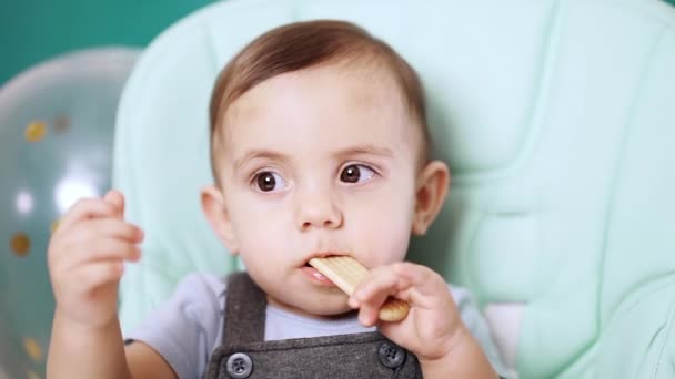 Cute baby boy sitting in his chair and eating delicious cookie. Birthday handsome toddler child with big eyes portrait. Slow motion. — Stok video