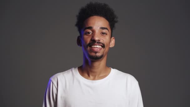 Handsome african american man with trendy curly hairdo on grey studio background. Cheerful guy smiling and looking to camera — Stock Video