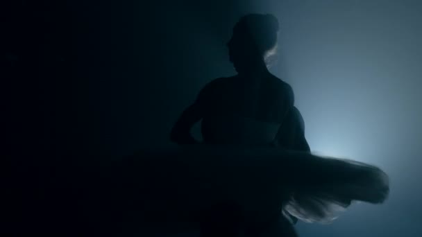 Silueta de bailarinas de ballet profesionales y sensuales en escena de humo oscuro interpretada por una pareja enamorada. Coreógrafos practicando y mostrando arte clásico. 4k — Vídeos de Stock