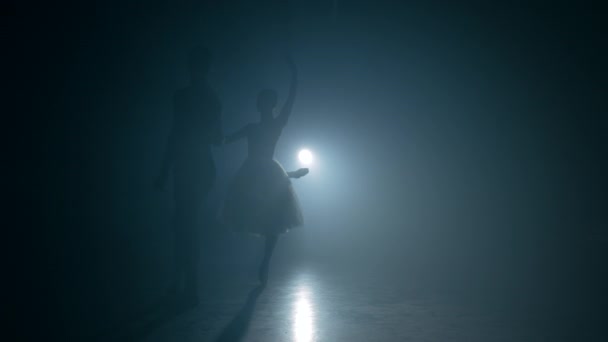 Graceful ballerina and her male partner dancing elements of classical or modern ballet in dark with floodlight backlight. Couple in smoke on black background. Art concept. — Stock Video