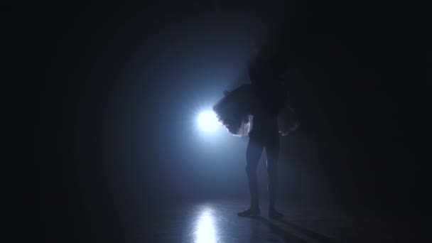 優雅なバレリーナとフラッシュライトバックライトと暗闇の中で古典的または近代的なバレエの彼女の男性のパートナーダンス要素。黒煙の中でカップル。アートコンセプト. — ストック動画