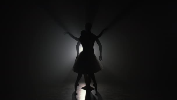 Romantische professionelle Ballettpaare üben Bewegungen auf dunkler Bühne. Junge Paare tanzen in klassischer Kleidung, drehen sich herum und lächeln. Anmut und Zärtlichkeit in jeder Bewegung. — Stockvideo