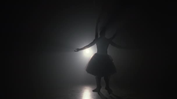 Pełna wdzięku balerina i jej partner tańczący elementy klasycznego lub nowoczesnego baletu w ciemności z podświetleniem powodziowym. Para w dymie na czarnym tle. Koncepcja sztuki. — Wideo stockowe