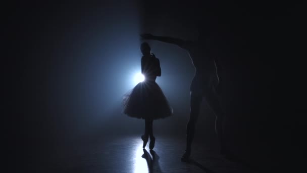 Изящная балерина и ее партнер-мужчина танцуют элементы классического или современного балета в темноте с подсветкой прожектора. Пара в дыму на черном фоне. Концепция искусства . — стоковое видео