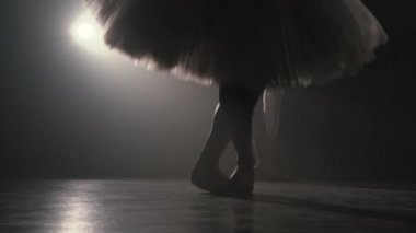 Balerin, klasik bir bale gösterisi sergiliyor. Bale dansçıları dumanlı spor salonunda atlama egzersizleri yapar. Ayakları sivri uçlu kadınlar. Ağır çekim. İşaret fişeği..