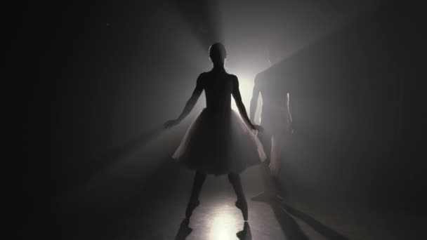 Graceful ballerina and her male partner dancing elements of classical or modern ballet in dark with floodlight backlight. Couple in smoke on black background. Art concept. — Stock Video