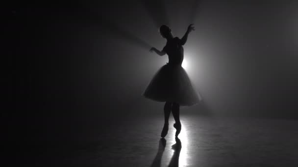Ballet dancer in tutu performing, jumping on stage. Ballerina practices on floor in dark studio with smoke. Slow motion. — Stock Video