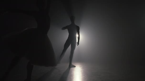 Silueta de bailarines de ballet profesionales escena de humo oscuro realizado por pareja — Vídeos de Stock