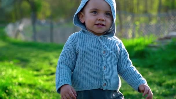 Söt porträtt av vandrande leende liten pojke vinka hej i parken eller grön trädgård. Första stegen. Underbar son, familj, småbarn koncept. — Stockvideo