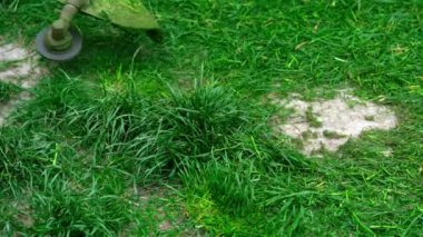 Elektrikli budama bıçağı çimleri keser. Bahçıvanlık. Çağdaş aletlerle bahçedeki otları biçiyorum..