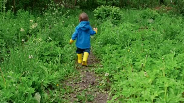 Komik, aktif, küçük bir çocuk bir yolda koşuyor ve sonra ailesine dönüyor. Yeşil orman geçmişi. Mavi yağmurluk ve lastik botlar içinde şirin bir çocuk doğayı keşfediyor. Aile, aşk, çocuk konsepti — Stok video