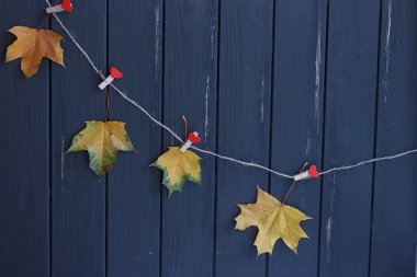 bir giyim hattı sonbahar akçaağaç yaprakları