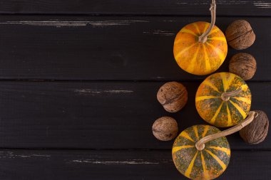 Küçük kabak sarı