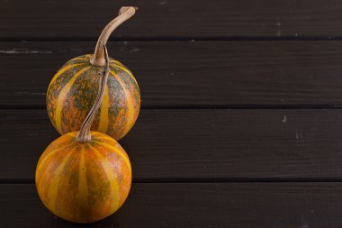 Küçük kabak sarı