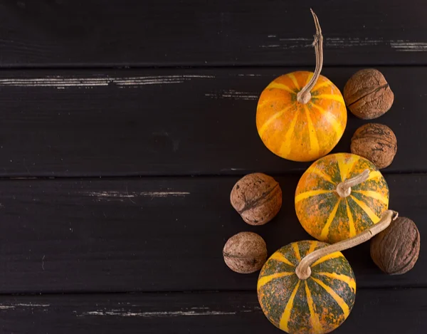 Piccola zucca gialla — Foto Stock