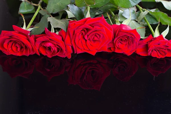 Belle rose rosse — Foto Stock