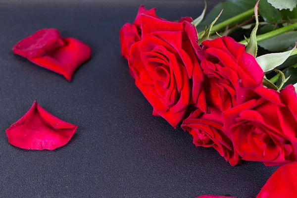 Rosa roja y pétalos sobre negro —  Fotos de Stock